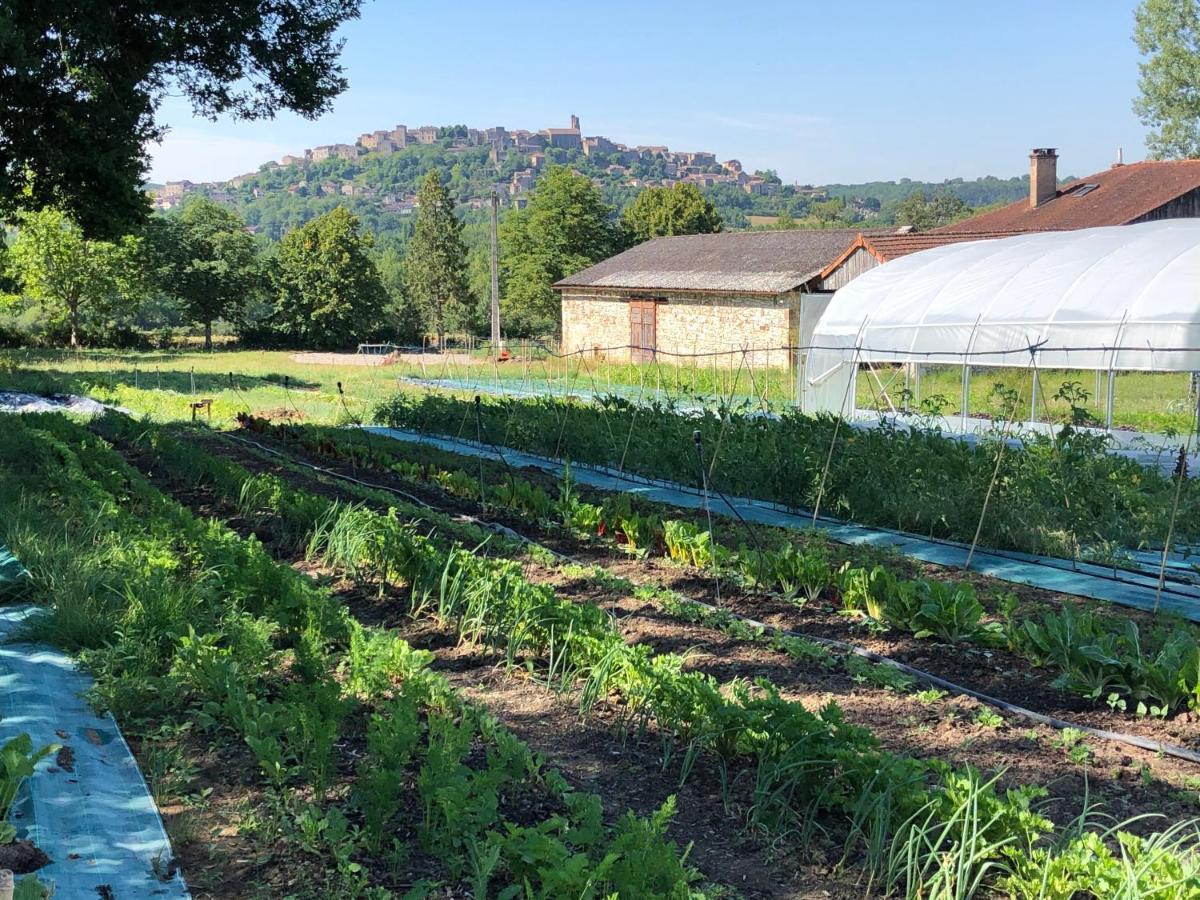 Gîte à la Ferme de Verdurette Cordes-sur-Ciel Esterno foto
