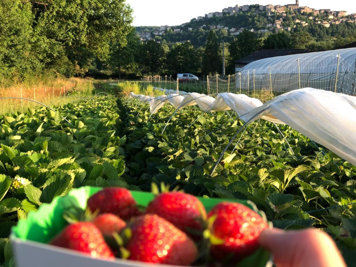 Gîte à la Ferme de Verdurette Cordes-sur-Ciel Esterno foto