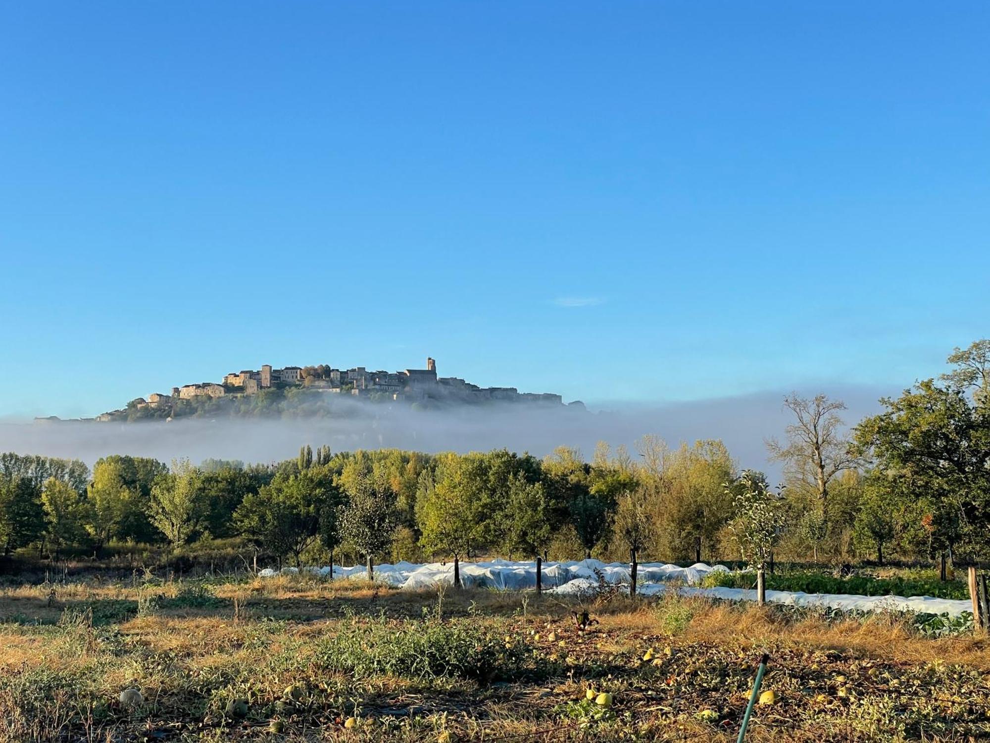 Gîte à la Ferme de Verdurette Cordes-sur-Ciel Esterno foto