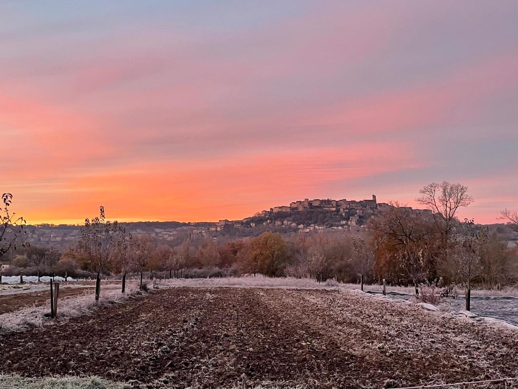 Gîte à la Ferme de Verdurette Cordes-sur-Ciel Esterno foto