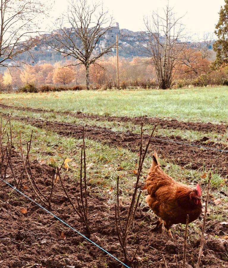 Gîte à la Ferme de Verdurette Cordes-sur-Ciel Esterno foto